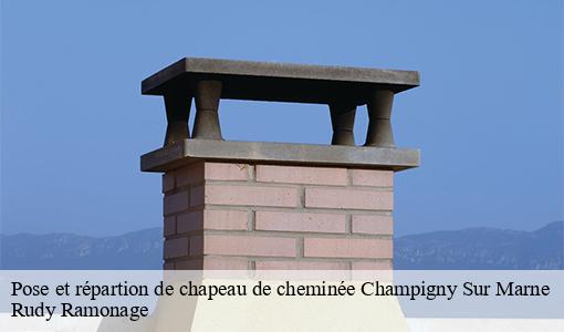 Pose et répartion de chapeau de cheminée champigny-sur-marne-94500 Rudy Ramonage