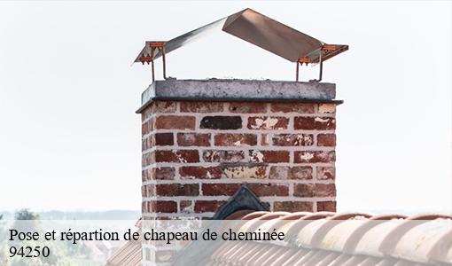 Pose et répartion de chapeau de cheminée  94250