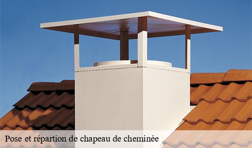 Pose et répartion de chapeau de cheminée