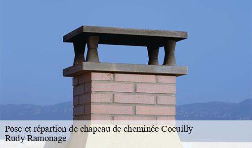 Pose et répartion de chapeau de cheminée coeuilly-94500 Rudy Ramonage