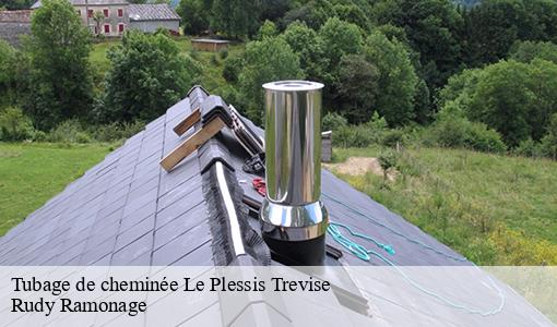 Tubage de cheminée le-plessis-trevise-94420 Rudy Ramonage